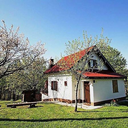 Holiday Home Coprnicka Hisa Skrad Exterior foto