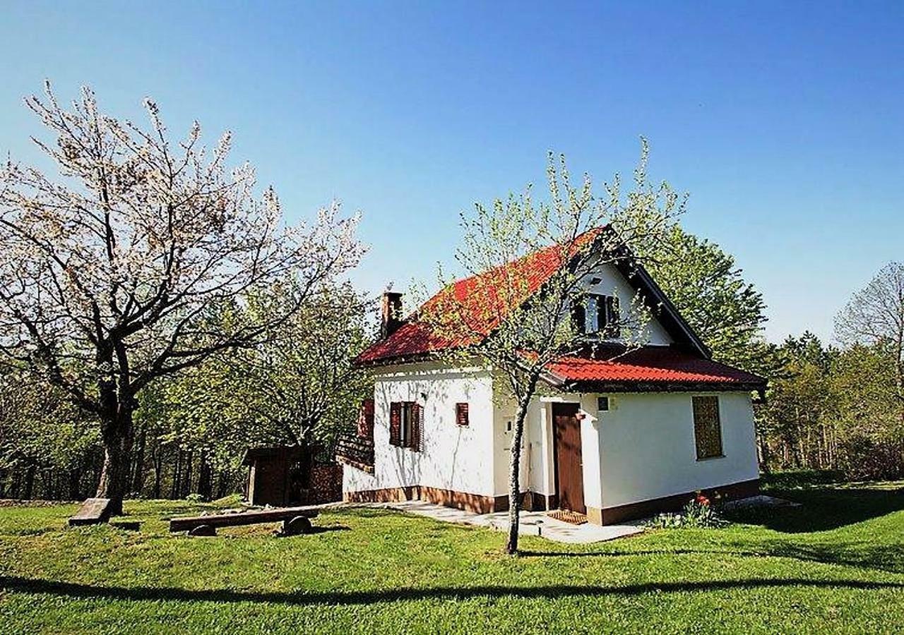 Holiday Home Coprnicka Hisa Skrad Exterior foto
